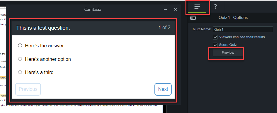 Preview button on the Quiz Options tab