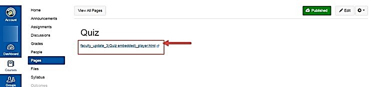 Canvas page showing the link to the video