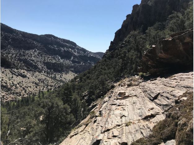 A rocky outcropping