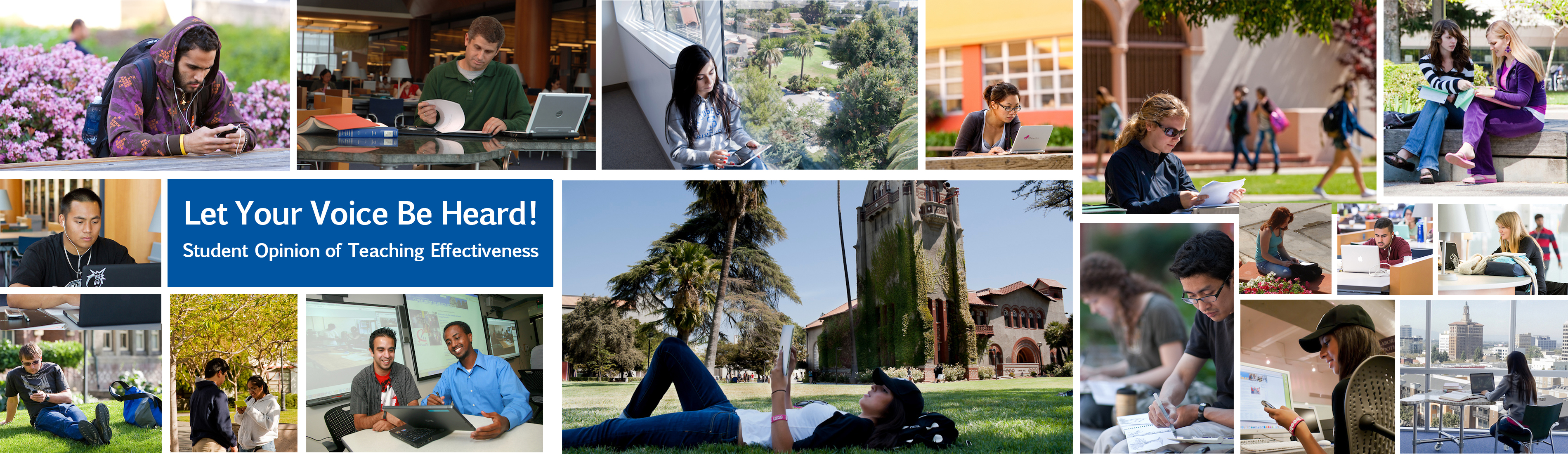 students studying on campus 